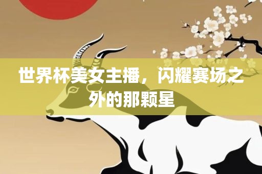 世界杯美女主播，闪耀赛场之外的那颗星眉山市正发家政服务有限公司