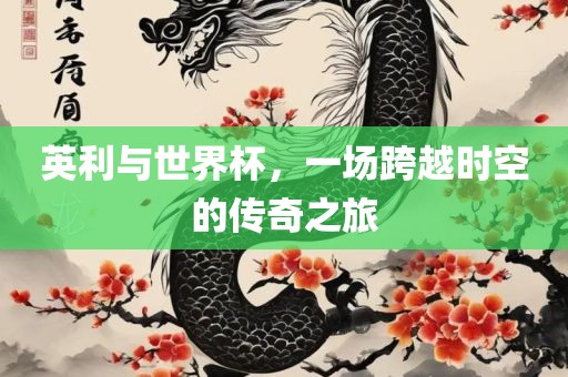 英利与世界杯，一场跨越时空的传奇之旅眉山市正发家政服务有限公司