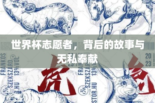 眉山市正发家政服务有限公司世界杯志愿者，背后的故事与无私奉献