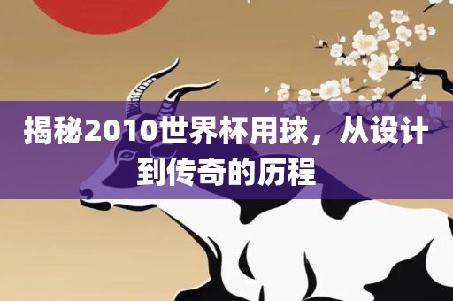 揭秘2010世界杯用球，从设计到传奇的历程眉山市正发家政服务有限公司