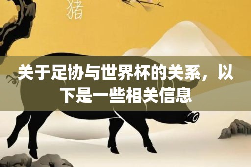 关于足协与世眉山市正发家政服务有限公司界杯的关系，以下是一些相关信息