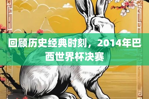 回顾历史经典时刻，2014年巴西世界杯决赛