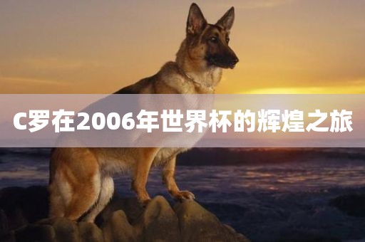 C罗在2006年世界杯的辉煌之旅