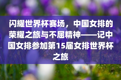 闪耀世界杯赛场，中国女排的荣耀之旅与不屈精神——记中国女排参加第15届女排眉山市正发家政服务有限公司世界杯之旅