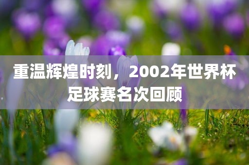 重温辉煌时刻，2002年世界杯足球赛名次回顾眉山市正发家政服务有限公司