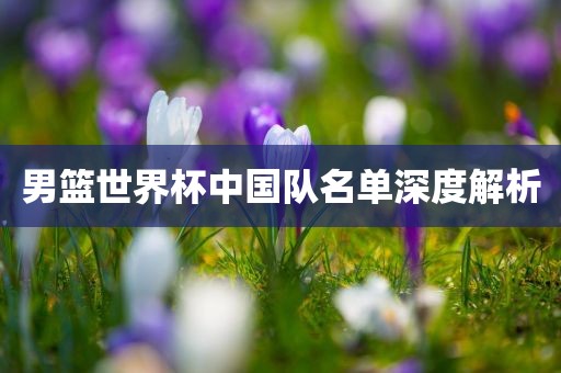 男篮世界杯中国队名单深度解析