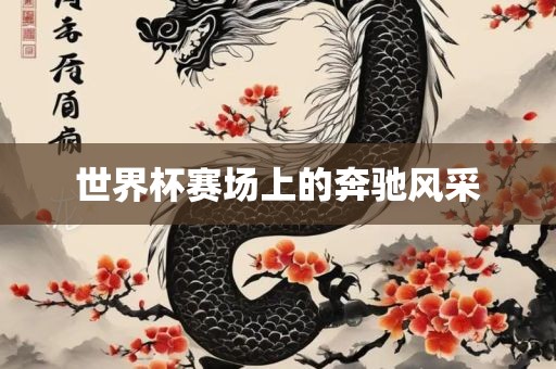 世界杯赛场上的奔驰风采眉山市正发家政服务有限公司