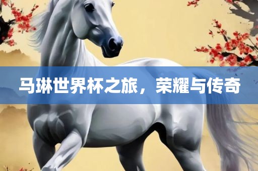 马琳世界杯之旅，荣耀与传奇