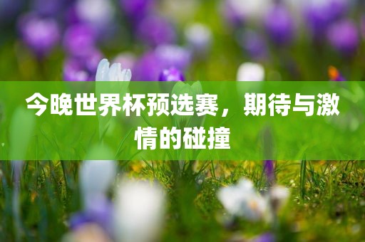 今晚世界杯预选赛，期待与激情的碰撞眉山市正发家政服务有限公司