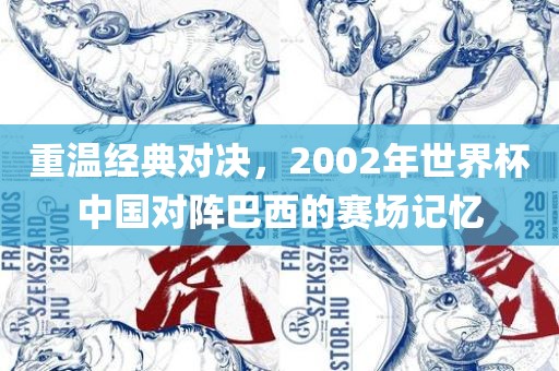 重温经典对决，2002年世界杯中国对阵巴西的赛场记忆眉山市正发家政服务有限公司