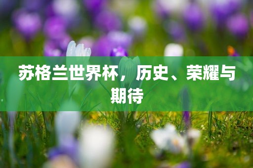 苏格兰眉山市正发家政服务有限公司世界杯，历史、荣耀与期待
