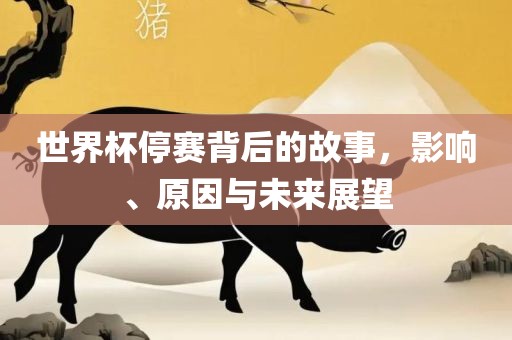 世界杯停赛背后的故事，影响、原因与未来展望