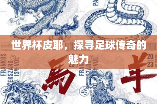 世界杯皮耶，探寻足球传奇的魅力眉山市正发家政服务有限公司