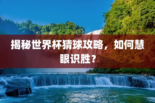 揭秘世界杯猜球攻略，如何慧眼识胜眉山市正发家政服务有限公司？