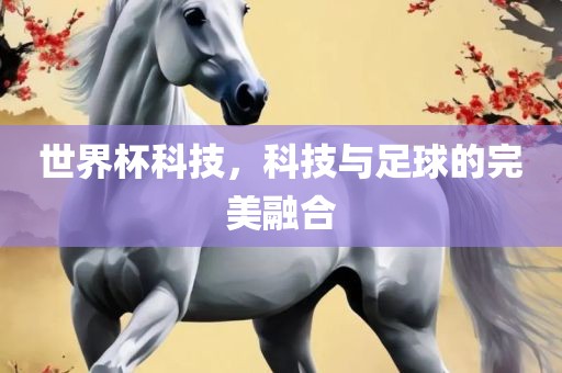 世界杯科技，科技与足球的完美融合眉山市正发家政服务有限公司