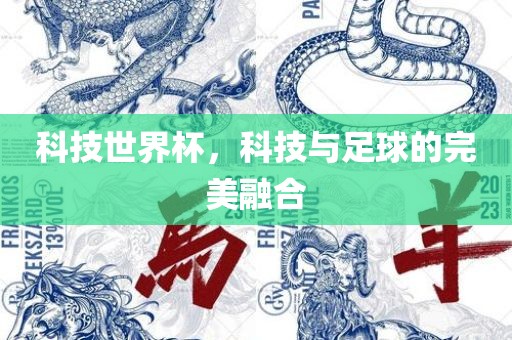 科技世界杯，科技与足球的完美融合