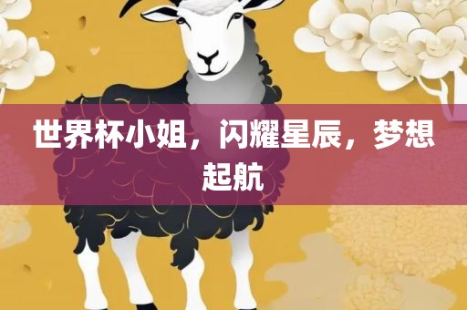 世界杯小姐，闪耀星辰，梦眉山市正发家政服务有限公司想起航