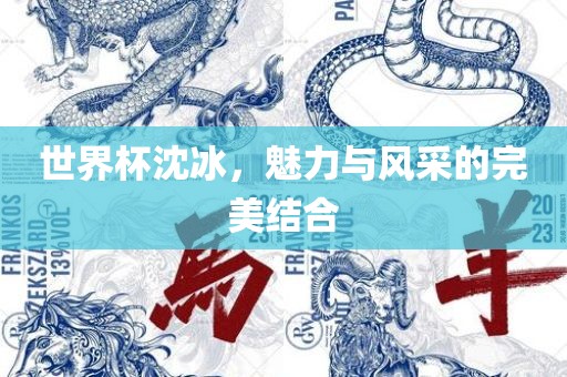 世界杯沈冰，魅力与风采的完美结合眉山市正发家政服务有限公司