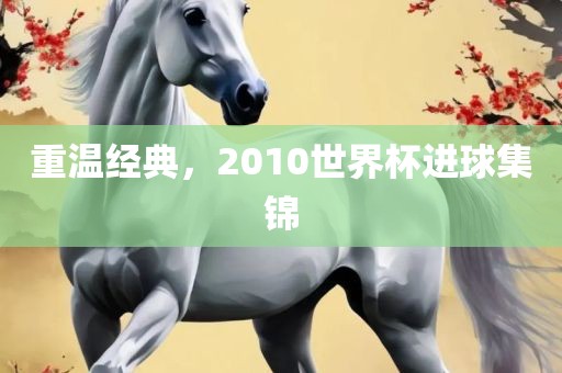 重温经典，2010世界杯进球集锦眉山市正发家政服务有限公司
