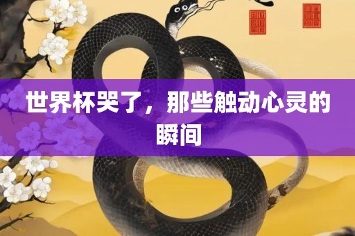 chenjiarong