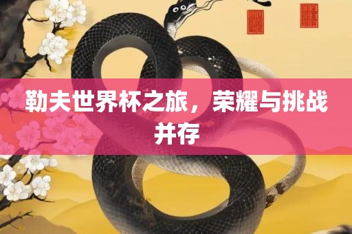 勒夫世界杯之旅，荣耀与挑战并存
