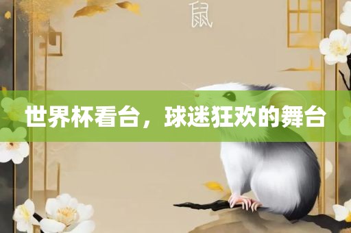 世界杯看台，球迷狂欢的舞台眉山市正发家政服务有限公司