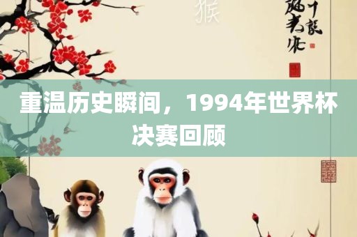重温历史瞬间，1994年世界杯决赛回顾眉山市正发家政服务有限公司