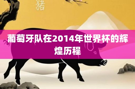 葡萄牙队在2014年世界杯的辉煌历程