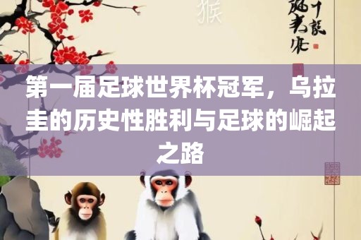 第一届足球世界杯冠军，乌拉圭的历史性胜利与足球的崛起之路眉山市正发家政服务有限公司