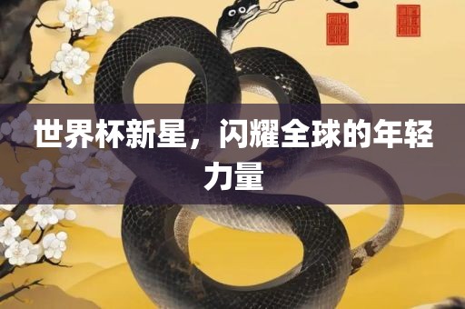 世界杯新星，闪耀全球的年轻力量眉山市正发家政服务有限公司