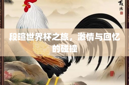段暄世界杯之旅，激情与回忆的碰撞眉山市正发家政服务有限公司