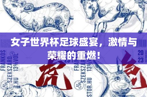 女子世界杯足球盛眉山市正发家政服务有限公司宴，激情与荣耀的重燃！