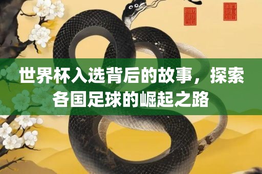 世界杯入选背后的故事，探索各国足球的崛起之路眉山市正发家政服务有限公司