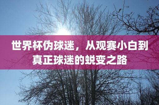 世界杯伪球迷，从观赛小白到真正球迷的蜕变眉山市正发家政服务有限公司之路