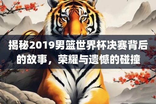 揭秘2019男篮世界杯决赛背后的故事，荣耀与遗憾的碰撞眉山市正发家政服务有限公司