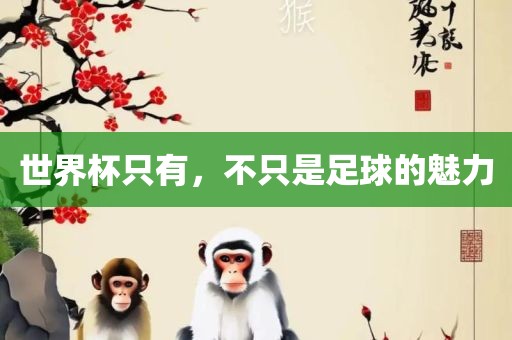 世界杯只有，不只是足球的魅力
