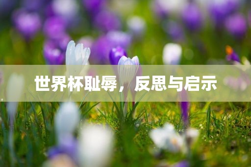 世界杯耻辱眉山市正发家政服务有限公司，反思与启示