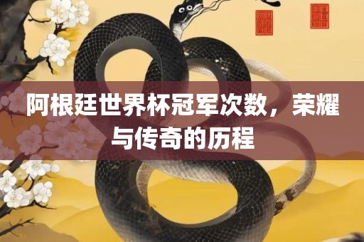 阿根廷世界杯冠军次数，荣耀与传奇的历程眉山市正发家政服务有限公司