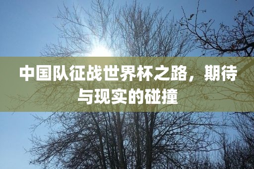 中国队征战世界杯之路，期待与现实的碰撞