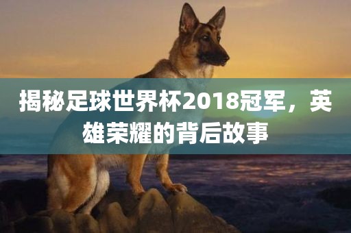 揭秘足球世界杯2018冠军，英雄荣耀的背后故事眉山市正发家政服务有限公司