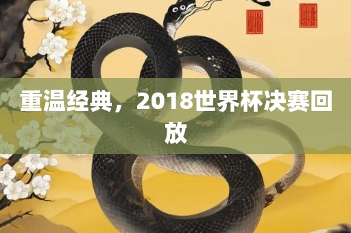 重温经典，2018世界杯决赛回放眉山市正发家政服务有限公司