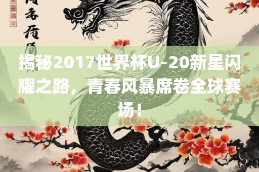 揭秘2017世界杯U-20新星闪耀之路，青春风暴席卷全球赛场！眉山市正发家政服务有限公司