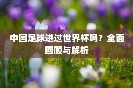 中国足球进过世界杯吗？全面回顾与解析