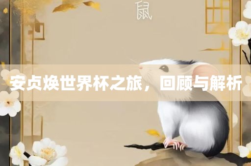 安贞焕世界杯之旅，回顾与解析