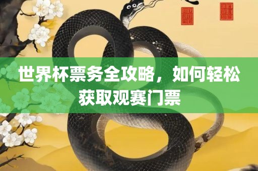 世界杯票务全攻略，如何轻松获取观赛门票