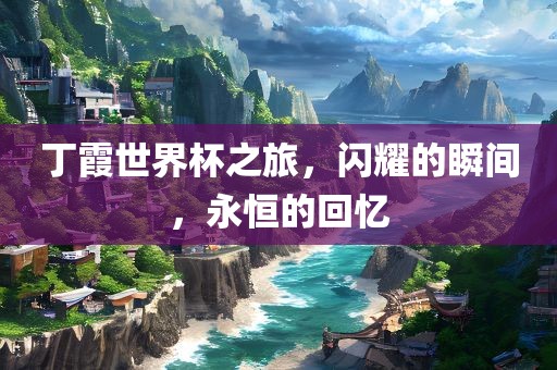丁霞世界杯之旅，闪耀的瞬间，永恒的回忆