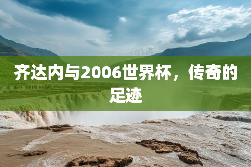 齐达内与2006世界杯，传奇的足迹