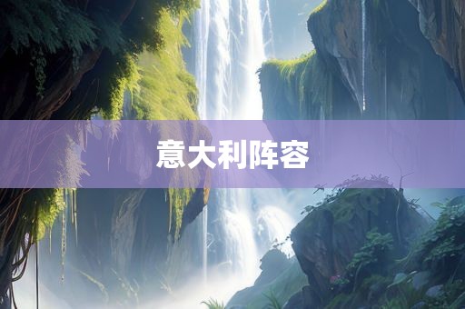 意大利阵容眉山市正发家政服务有限公司