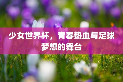 少女世界杯，青春热血与足球梦想的舞台