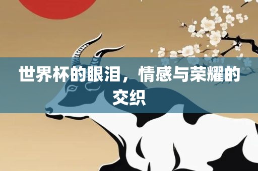 世界杯的眼泪，情感与荣耀的交织眉山市正发家政服务有限公司